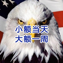 阿拉尔要账公司